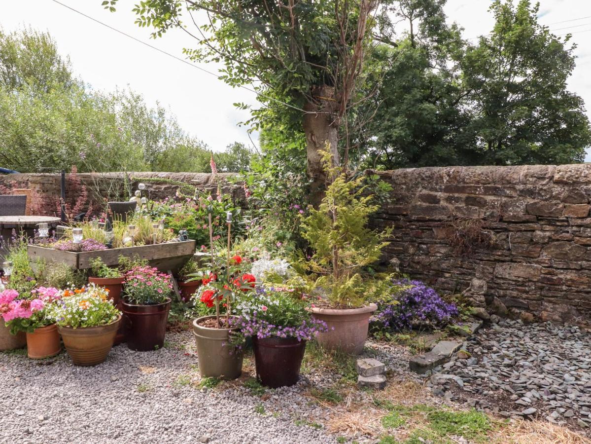 Kingfisher Cottage, 11 Airebank Terrace Skipton Zewnętrze zdjęcie